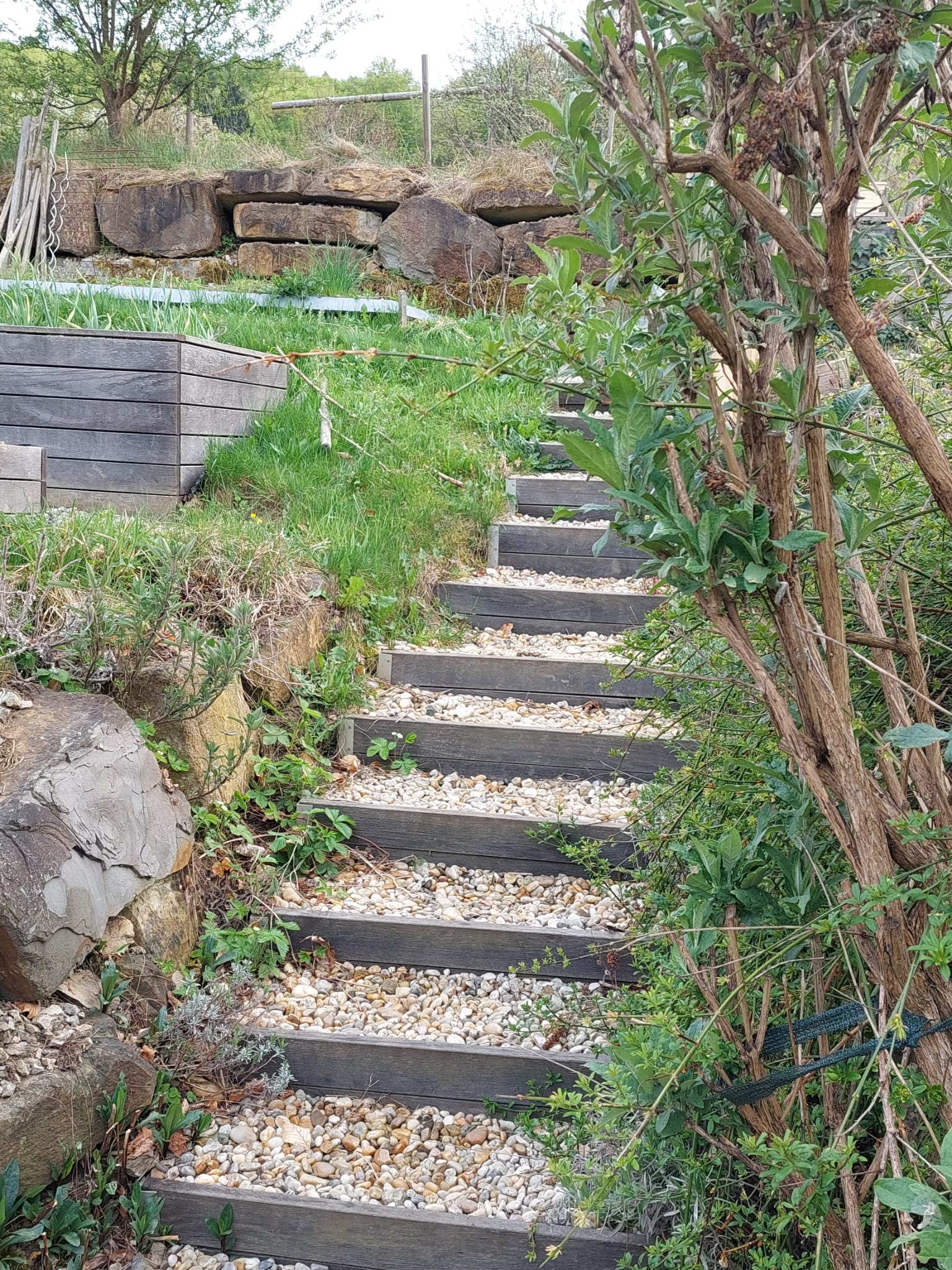 Garten 1 – Gemeinschaftsgarten